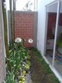 /album/fotogaleria-inicio/img-20140426-134555-jpg/